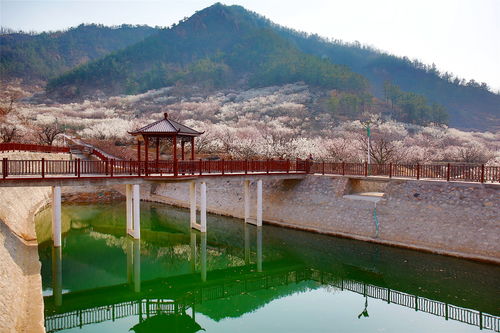 全域發(fā)力精準治理 城陽探索農村人居環(huán)境整治提升新路徑鳳凰網(wǎng)青島