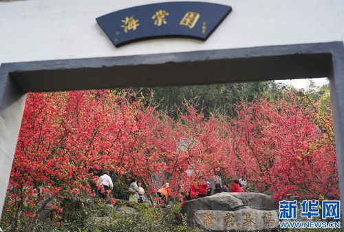 又是春花爛漫時(shí) 南昌太陽(yáng)谷游人不絕鳳凰網(wǎng)江西 鳳凰網(wǎng)