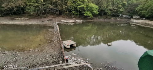 景區(qū)開展流徽湖 流杯渠 竹海湖等水系清淤治理工程