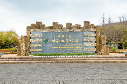 本周六,免費開放